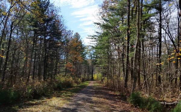 Steve Holford Memorial Trail