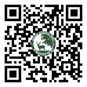 QR Code for GRlT all-terrain freedom chairs